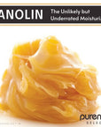 Lanolin Wax - PurensoSelect