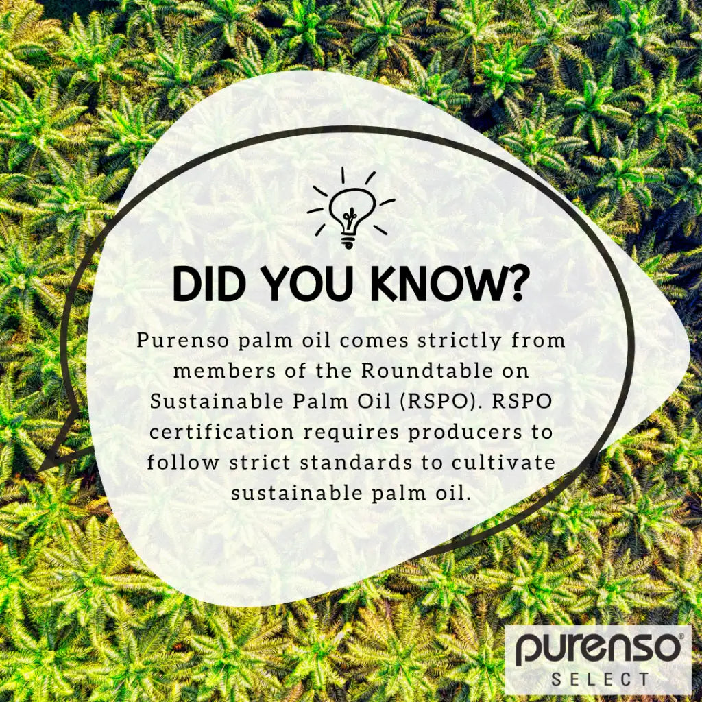 Palm Kernel Oil - PurensoSelect