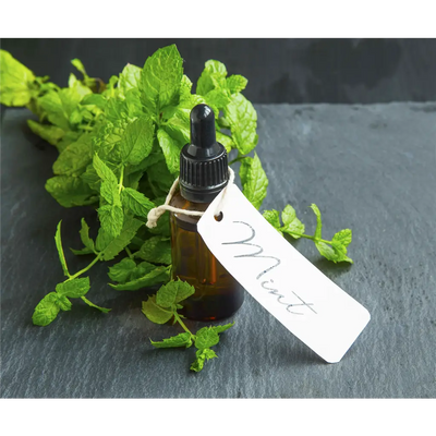 Buy Online Peppermint Fragrance Oil in India - Purenso Select