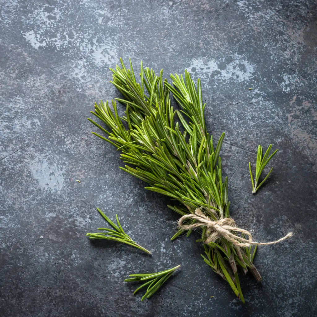 Rosemary Fragrance Oil - Fragrance Oil