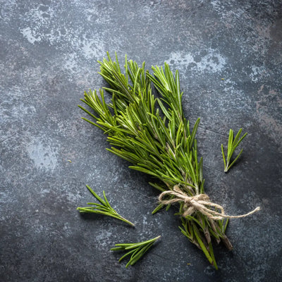 Buy Online Rosemary Fragrance Oil in India - Purenso Select