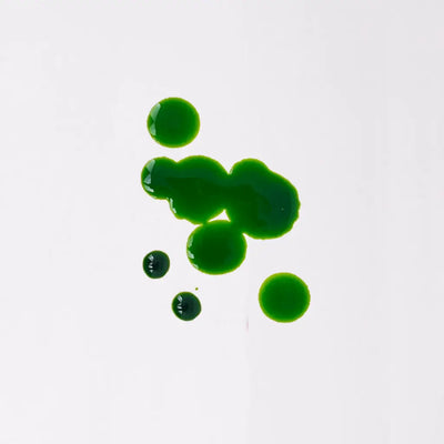 Water Soluble Liquid Colors - Aqua Green - Colorants
